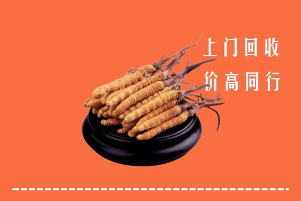 高价求购：德州夏津回收散虫草